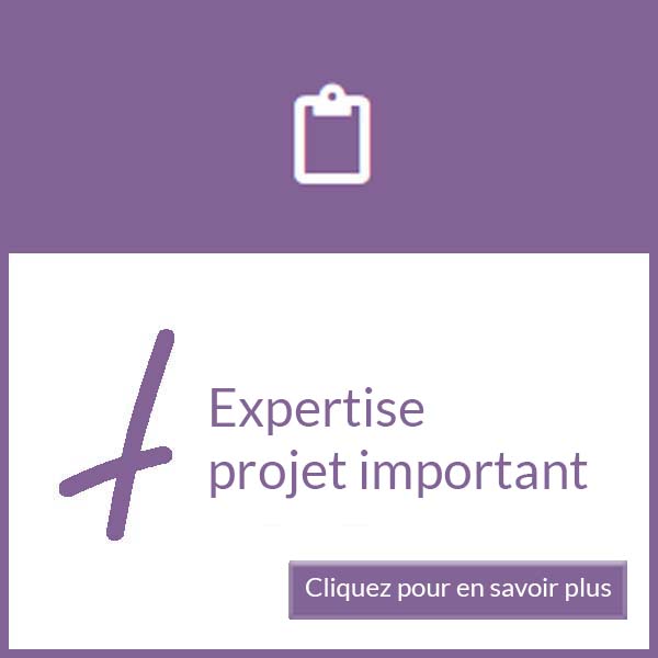 expertise-projet-important