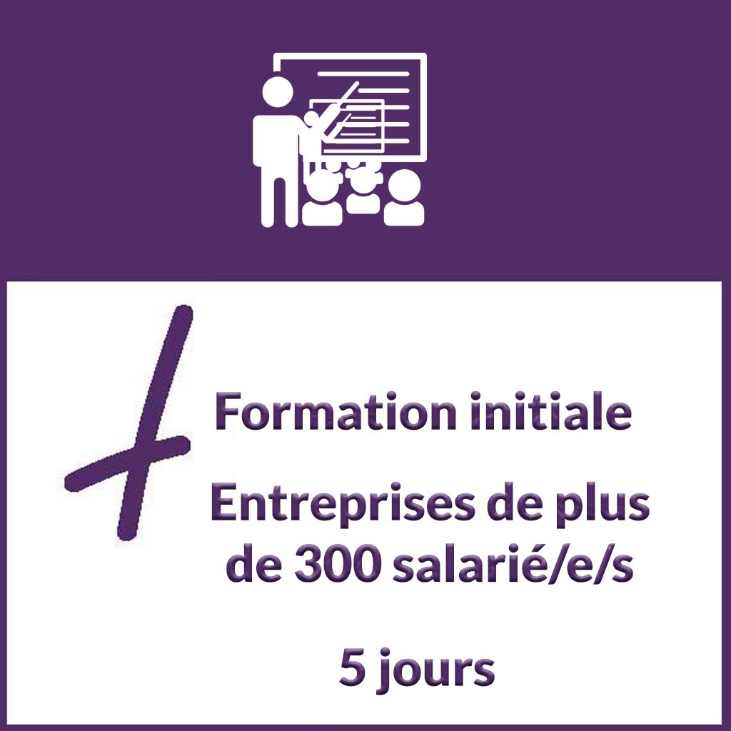 formations-initiale-pluss-300-salariés