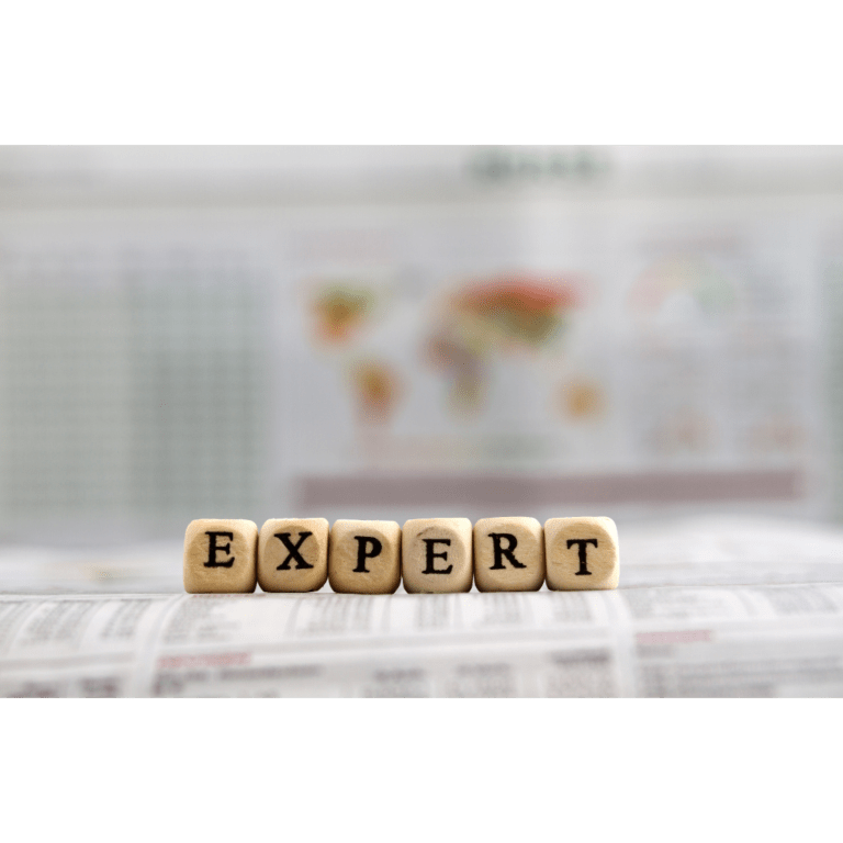 expertise projet important : l'expert